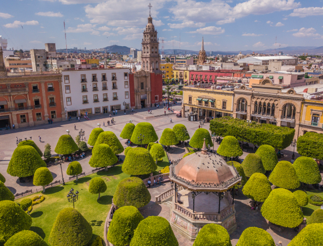 Adamant Grand León Campestre