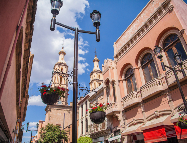 Adamant Grand León Campestre