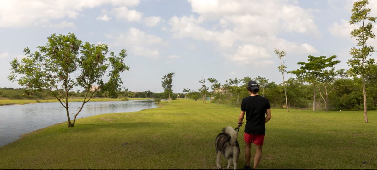Adamant Mérida amenidades green-area