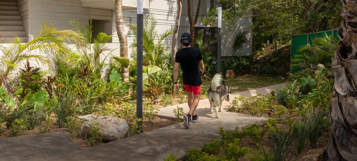 Adamant Mérida amenidades pet-center